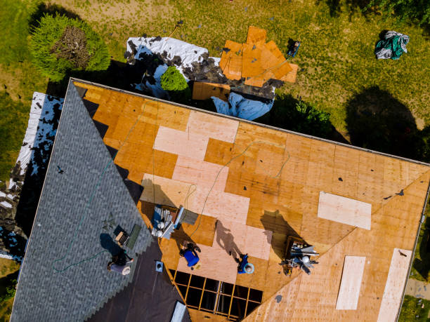 Best Storm Damage Roof Repair  in Brookville, OH