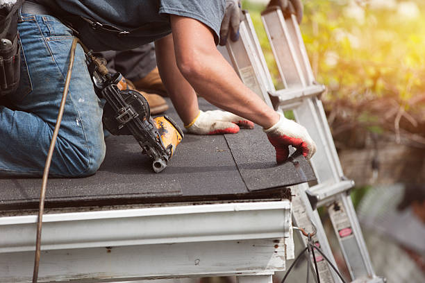 Best Gutter Installation and Roofing  in Brookville, OH